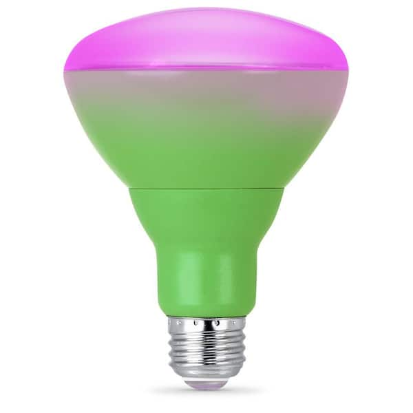 uv light bulbs for plants home depot