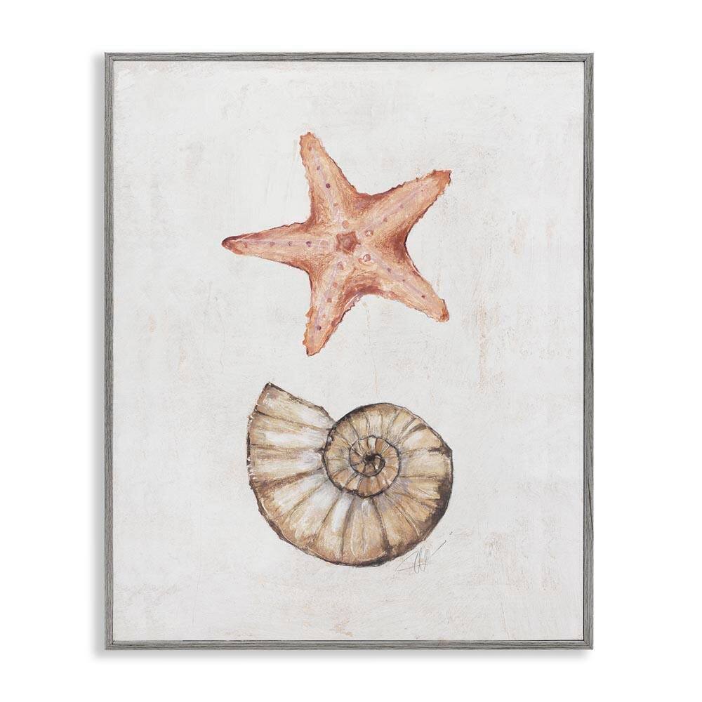 Subtle Sea Life by Filippo Ioco Gray Framed Coastal Giclee Art Print 14 in. x 11 in.