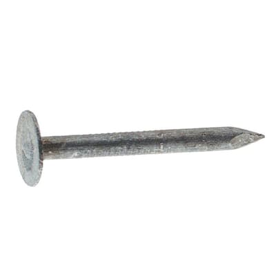 #11 x 1 in. Electro-Galvanized Steel Roofing Nails (1 lb.-Pack)