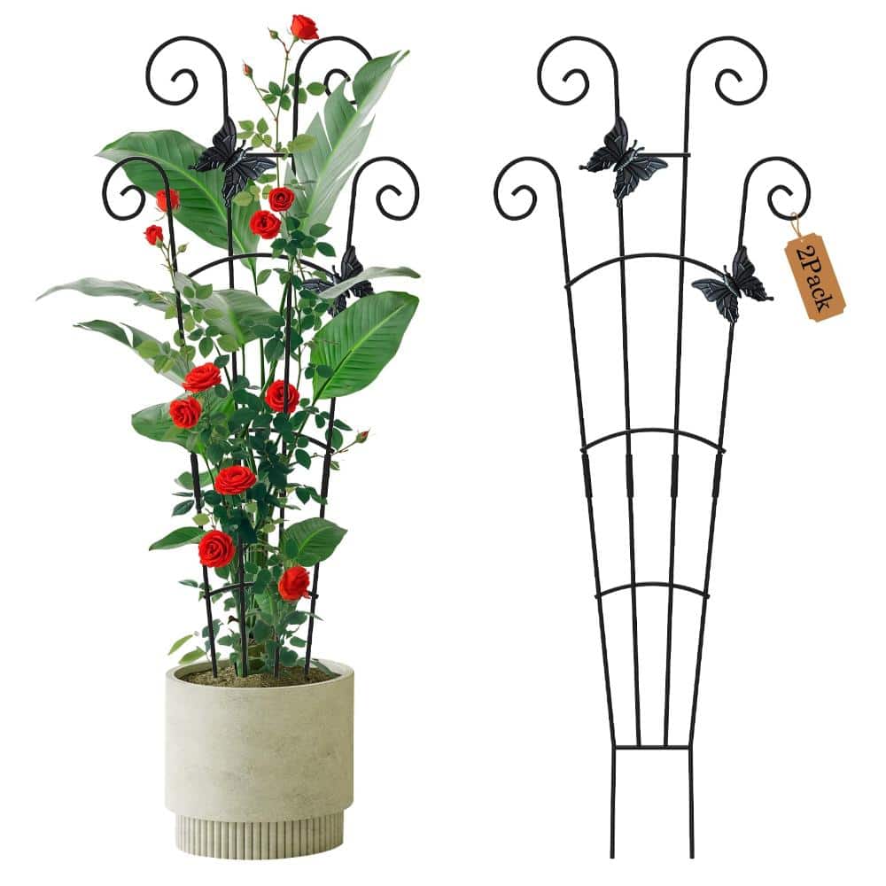 30 in. Plant Trellis Expandable Metal Climbing Plant Support Iron 2 Pack price history on PriceWatchPro