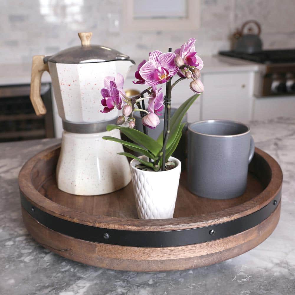 Pink Mini Orchid in White Ceramic Pot, 6-10"