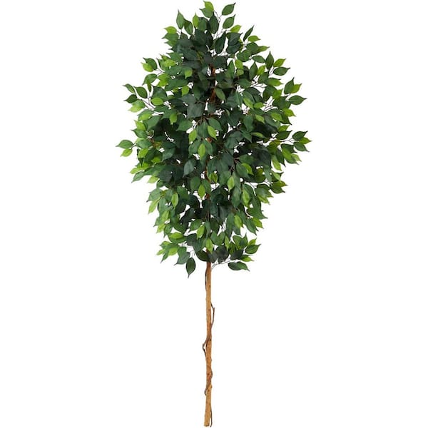 6 ft. Artificial Ficus Tree in Brown Stand, Artificial Indoor Home Decor Plant