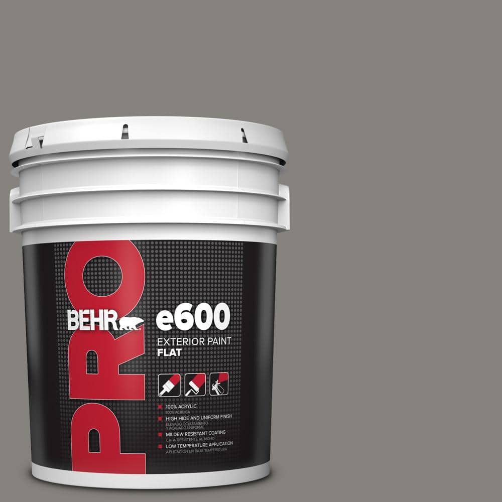 5 gal. #BNC-25 Gray Pepper Flat Exterior Paint price history on PriceWatchPro