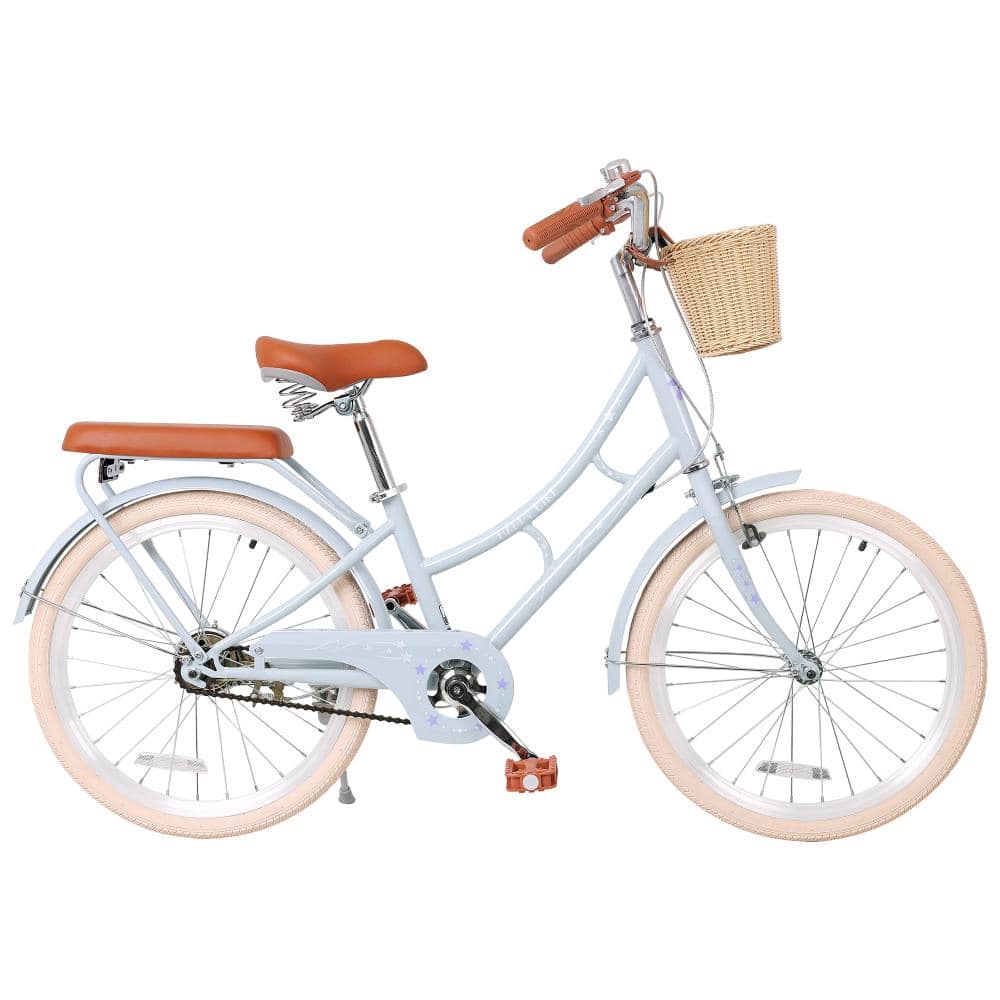 Flynama 22 Inch Girls Beach Cruiser Bike, Comfort Steel Frame Commuter ...