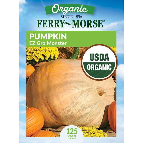 Organic Pumpkin EZ Grow Monster Giant Fruit Seeds