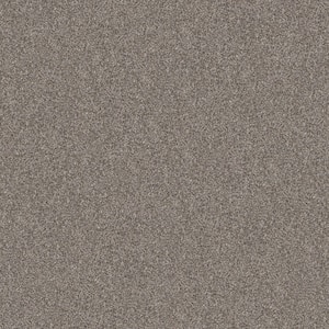 River Rocks II - French Buff - Beige 56.2 oz. SD Polyester Texture Installed Carpet