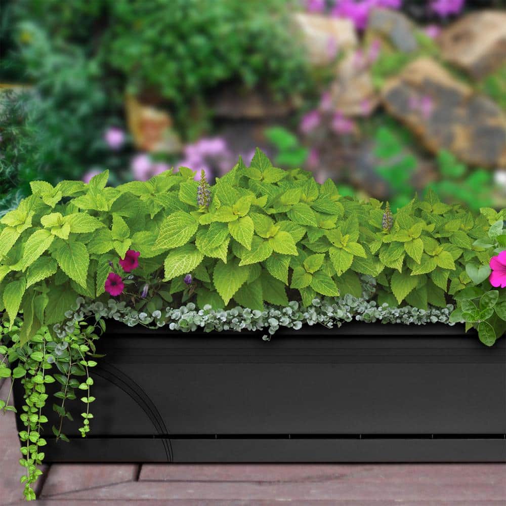 Medallion Black 36" Resin Hanging Windowsill Garden Box Planter - Set of 3