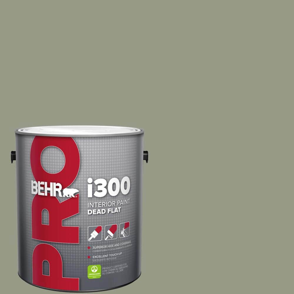 1 gal. #BNC-27 Aged Eucalyptus Dead Flat Interior Paint price history on PriceWatchPro