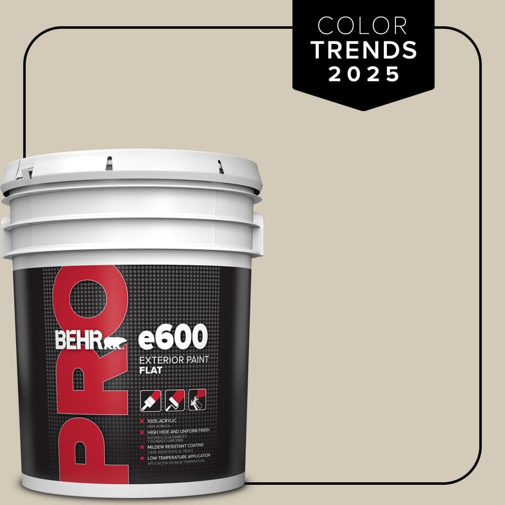 5 gal. Designer Collection #DC-010 Even Better Beige Flat Exterior Paint price history on PriceWatchPro