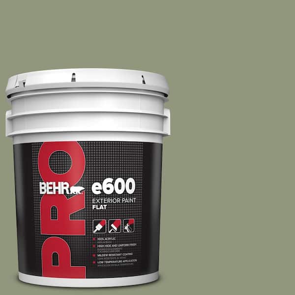 5 gal. #ECC-63-1 Autumn Sage Flat Exterior Paint