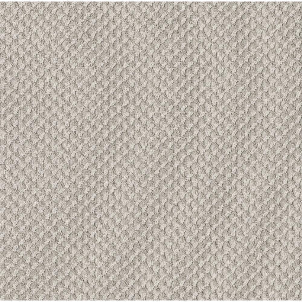 8 in. x 8 in. Pattern Carpet Sample - Genevieve -Color Venetian Lace price history on PriceWatchPro