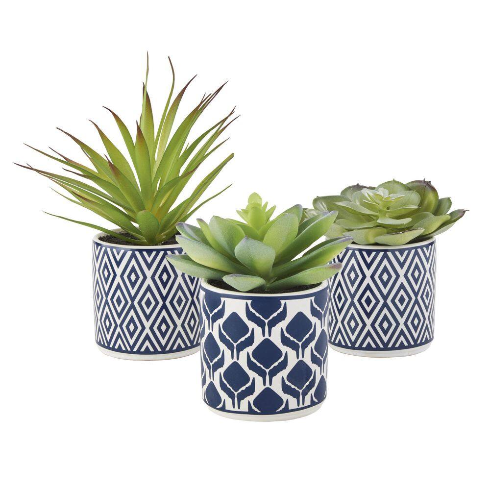 Spring Essence Trio of Artful Succulents in Patterned Pots