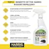 Harris Peppermint Oil Mice & Rodent Repellent Spray for House and Car  Engines, Humane Mouse Trap Substitute, 20oz