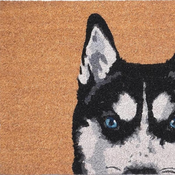 Multi-Colored 36 in. x 24 in. Coir Non-Slip Indoor/Outdoor Door Mat