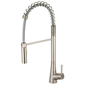 i2 Single-Handle Pull-Down Sprayer Kitchen Faucet with Straight Pre-Rinse in Brushed Nickel