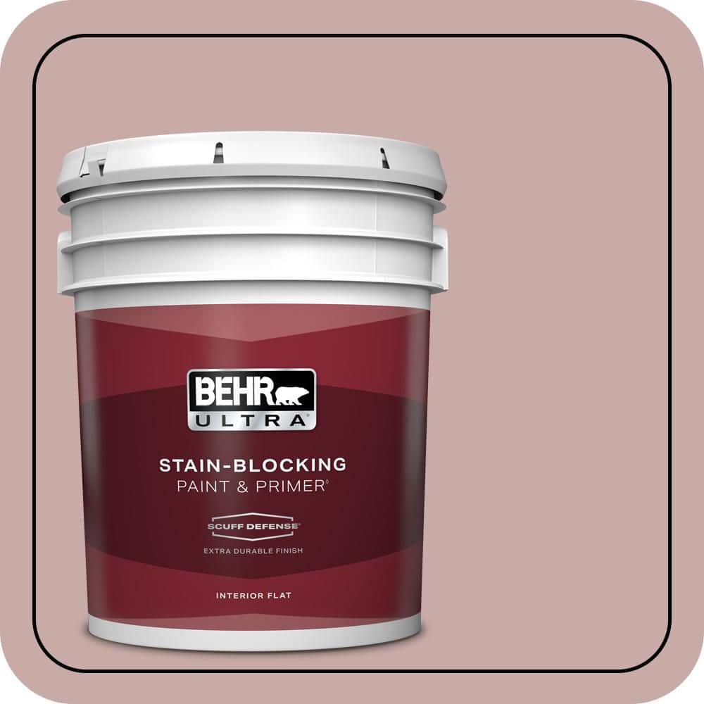5 gal. #130E-3 Rosy Tan Extra Durable Flat Interior Paint & Primer price history on PriceWatchPro