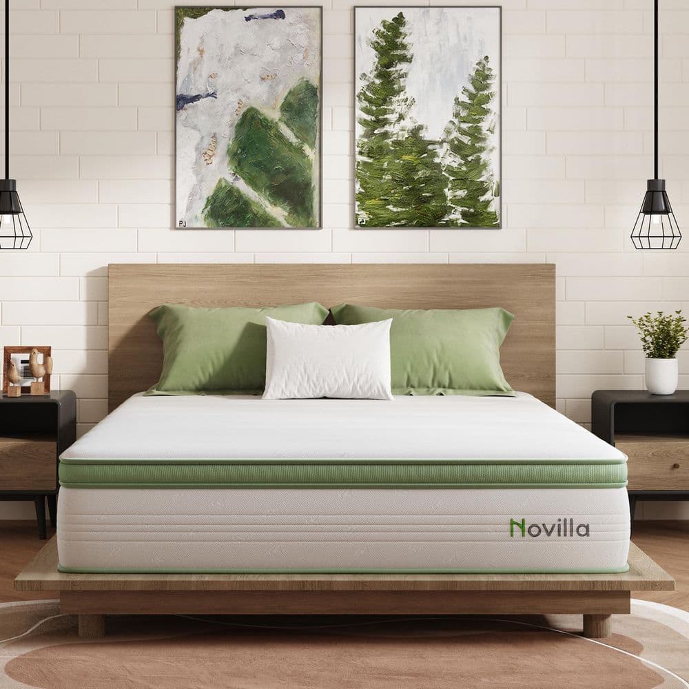 Queen Medium Gel Memory Foam Hybrid Mattress 10 in. Bed-in-a-Box Mattress price history on PriceWatchPro