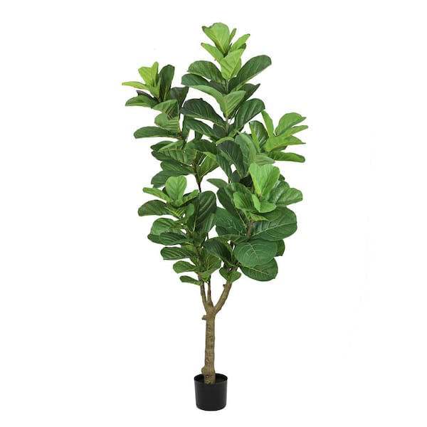 LIVING LUXURY 6 ft. Real Touch Artificial Fiddle Leaf Fig Tree in Black Pot