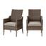 https://images.thdstatic.com/productImages/f1fbfd84-3b1e-46b0-9c1f-40c16b29a116/svn/hampton-bay-outdoor-dining-chairs-frs81146-2pk-64_65.jpg