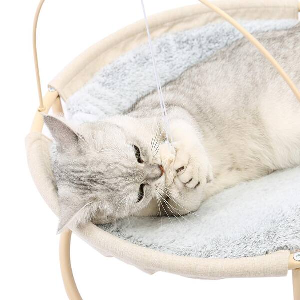 hanging cat hammock