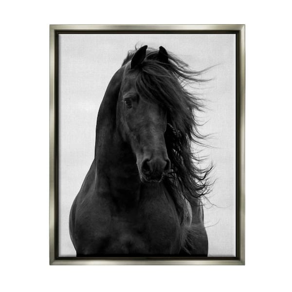 The Stupell Home Decor Collection Black Stallion Horse Portrait Soft Sky Photography by Carol Walker Floater Frame Animal Wall Art Print 25 in. x 31 in.