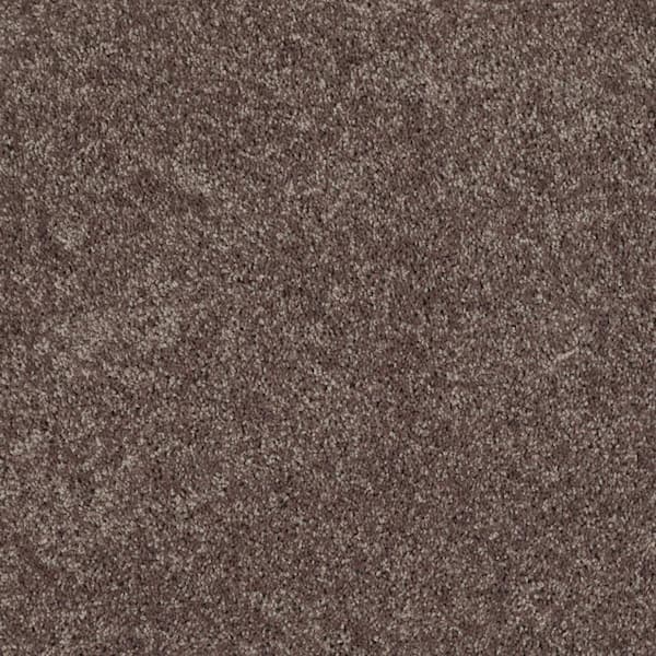 TrafficMaster Palmdale I - Saddle Soap - Brown 17.6 oz. Polyester Texture Carpet - Installation Required