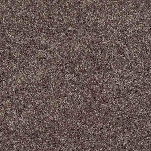 TrafficMaster Palmdale I - Saddle Soap - Brown 15 ft. 17.6 oz. Polyester Texture Installed Carpet