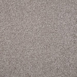Barx I  - Hushed Taupe - Brown 43 oz. Triexta Texture Installed Carpet