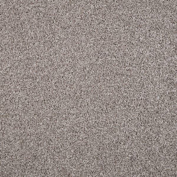 Lifeproof with Petproof Technology Barx II  - Hushed Taupe - Beige 56 oz. Triexta Texture Installed Carpet