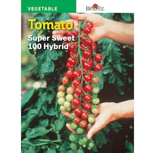 Tomato, Cherry, Super Sweet Seed 100 Hybrid