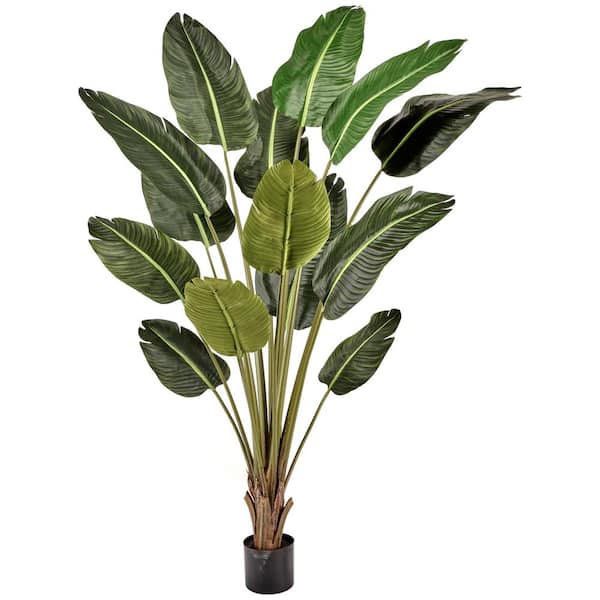 Regency International Travelers 6 ft. Green Artificial Palm Tree