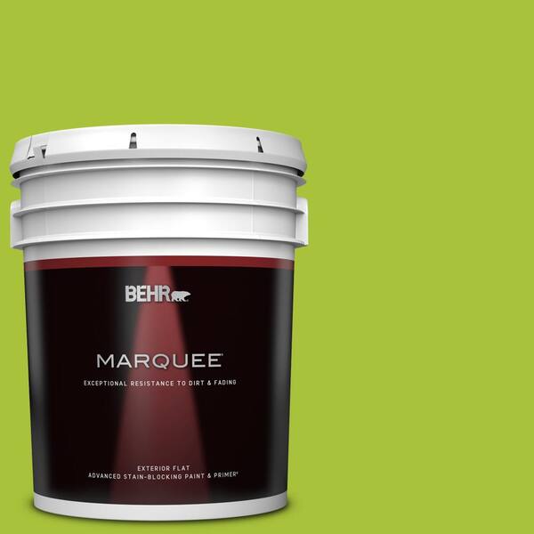 BEHR MARQUEE 5 gal. #S-G-410 Green Crush Flat Exterior Paint & Primer