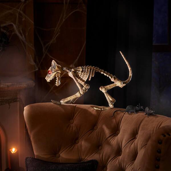 Tj Maxx Halloween Decor  TJ Maxx selling Home Depot Skeletons