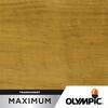 Olympic Maximum 1 gal. Clear Exterior Waterproofing Sealer 57500A-01