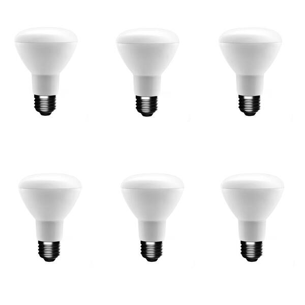 SELS LED BR20 Recessed Non-Dimmable Indoor Outdoor White Floodlight Bulb 6 Pack 