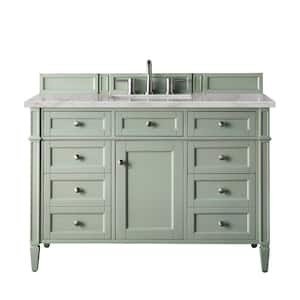 Brittany 48.0 in. W x 23.5 in. D x 34.0 in. H Bathroom Vanity in Sage Green with Victorian Silver Silestone Quartz Top