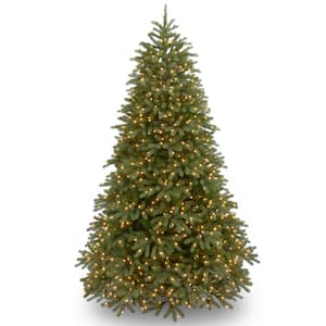 6.5 ft. Jersey Fraser Fir Medium Tree with Clear Lights