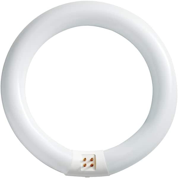 Philips Circle 910 Lumen T9 Tubular Fluorescent Light Bulb 22 Watt Daylight for sale online 