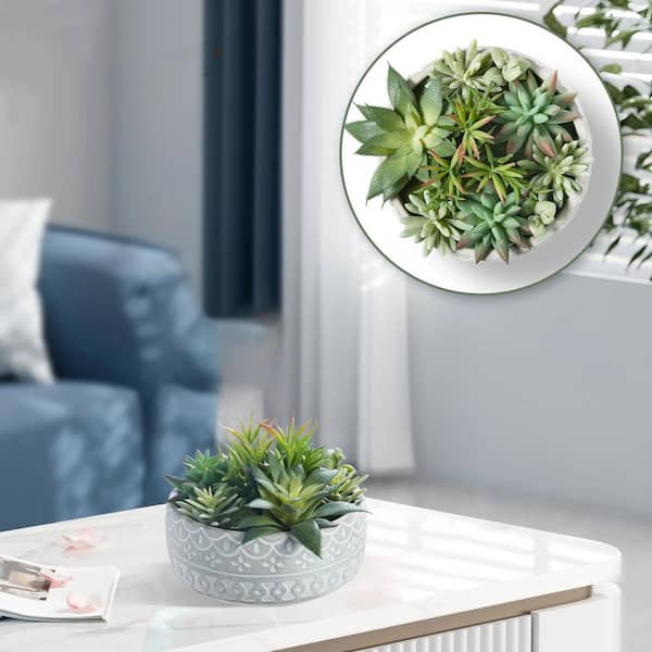 https://images.thdstatic.com/productImages/f211fc95-4fcb-4be7-9eed-67424b86793e/svn/artificial-succulents-wk1136-1f_600.jpg