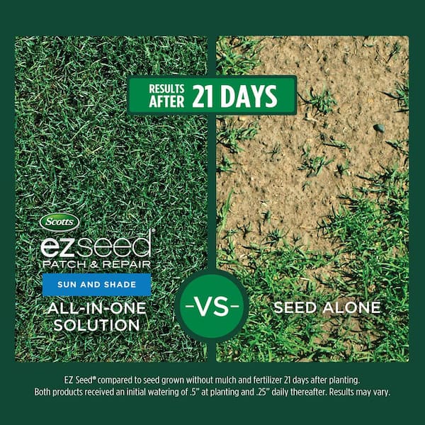 Scotts Ez Seed Patch And Repair Reviews: Honest 2026 | Grass Cure