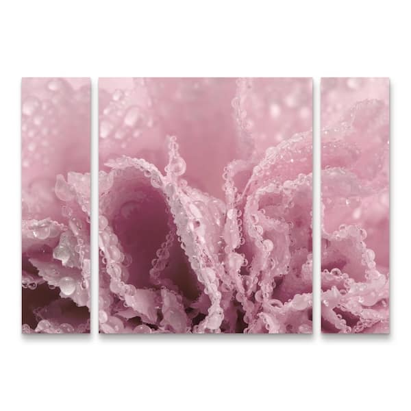 Trademark Fine Art Gordon Semmens Pink Carnation 04 3-Piece Panel Set Unframed Photography Wall Art 30 in. x 41 in.