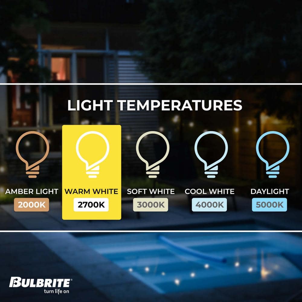 48-ft Black LED String Lights with Clear Shatter Resistant Bulbs