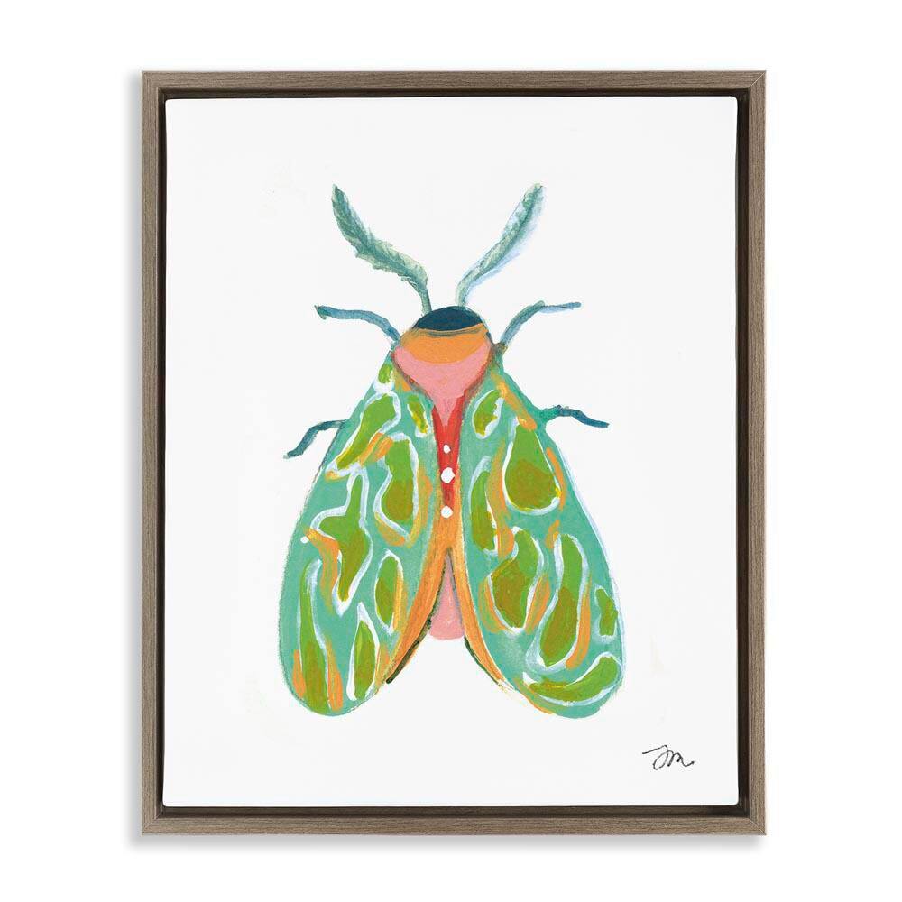Green Pattern Moth by Jessica Mingo Brown Floater Frame Animal Graphic Art Print 21 in. x 17 in. price history on PriceWatchPro