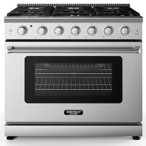 36 in. 6 cu. ft. 6-Burners Natural Gas and Liquefied Gas Range in Silver with Cooktop and Oven