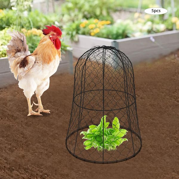 YIYIBYUS 12.99 in. D x 15.75 in. H Indoor/Outdoor Garden Chicken