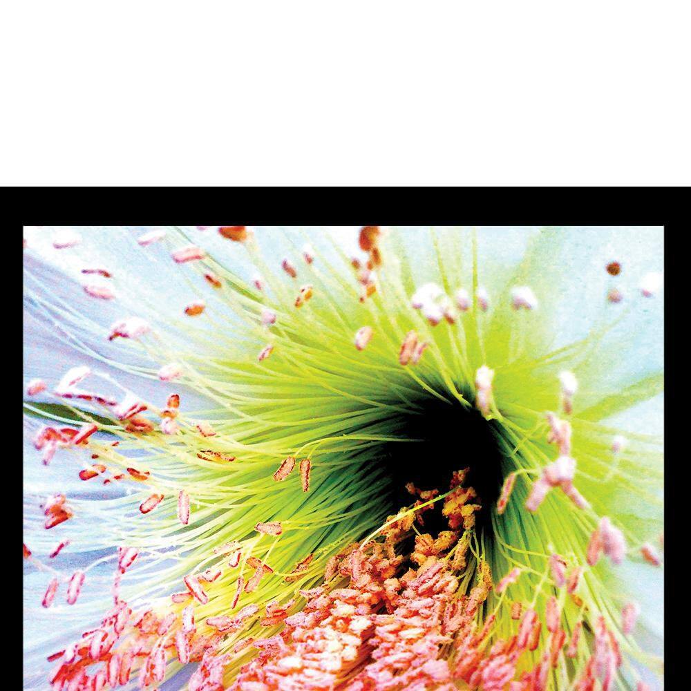 Vibrant Floral Sports Print Framed for Kids, 18" x 14"