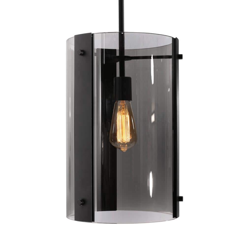 Dana 60-Watt 1-Light Black Shaded Pendant Light with Smoked Glass Shade and No Bulbs Included price history on PriceWatchPro