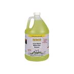 Professional 1-gal. Instant Mold and Mildew Stain Remover