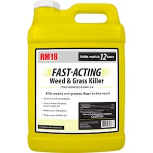 2.5 Gal. Fast-Acting Weed and Grass Killer Concentrate
