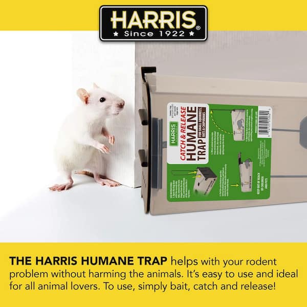 Harris Reusable Catch & Release Humane Mouse Trap, 1 Trap 